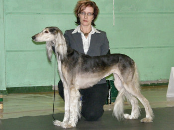 Fiona, BIS-2 vet